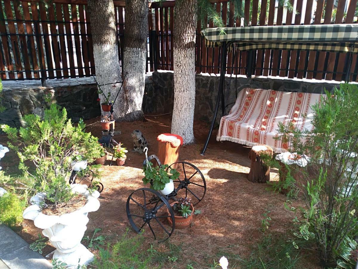 Durmitor Apartment Kumanovo Bagian luar foto