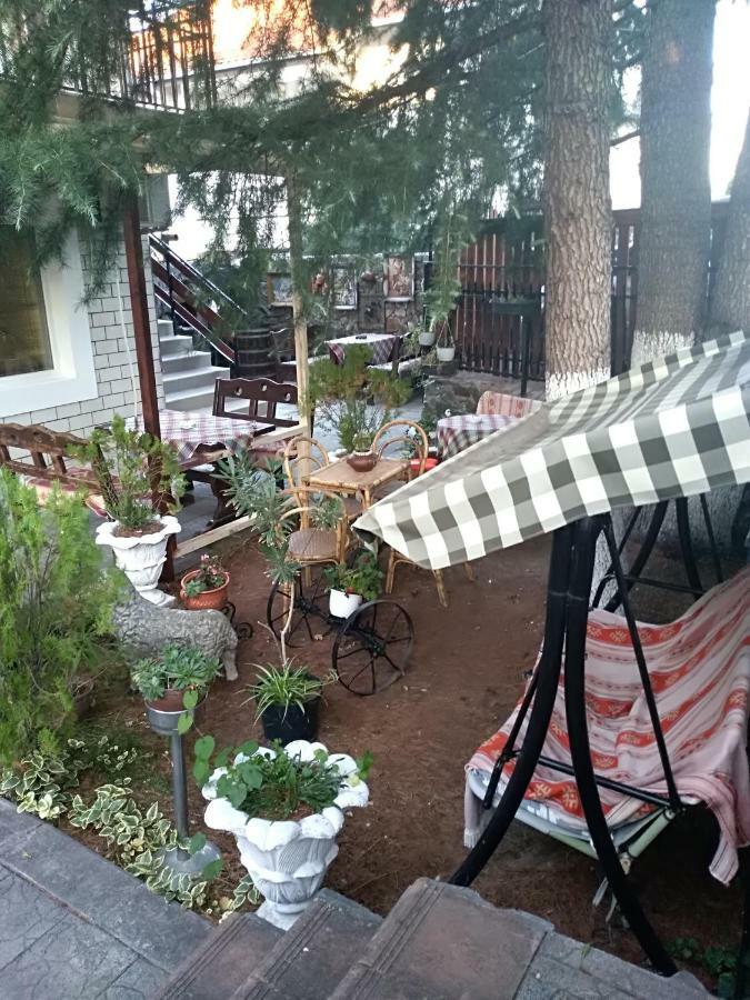 Durmitor Apartment Kumanovo Bagian luar foto