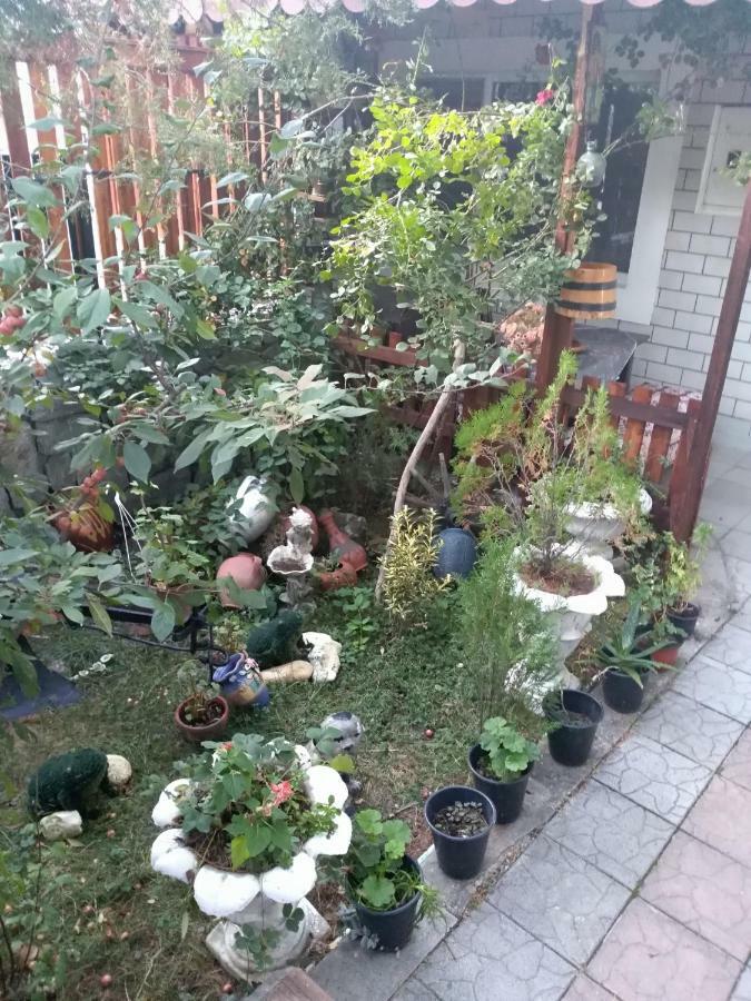 Durmitor Apartment Kumanovo Bagian luar foto