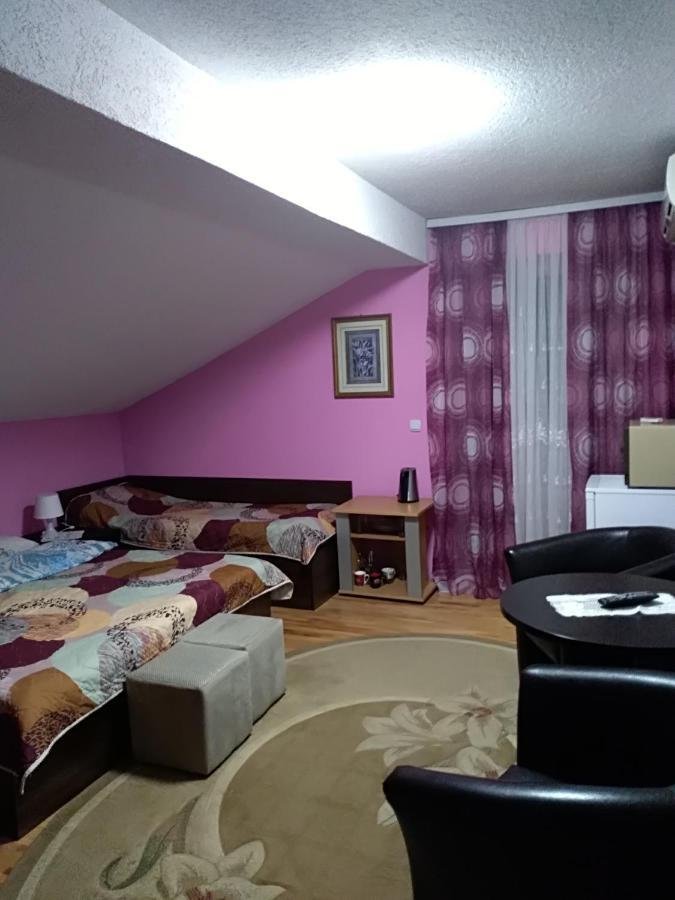 Durmitor Apartment Kumanovo Bagian luar foto