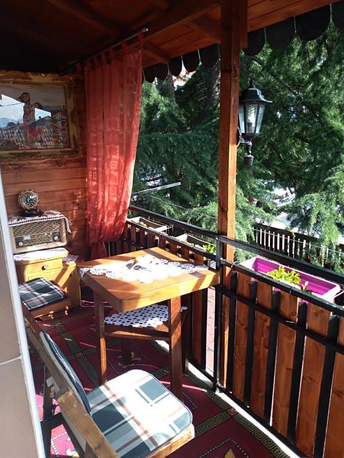 Durmitor Apartment Kumanovo Bagian luar foto